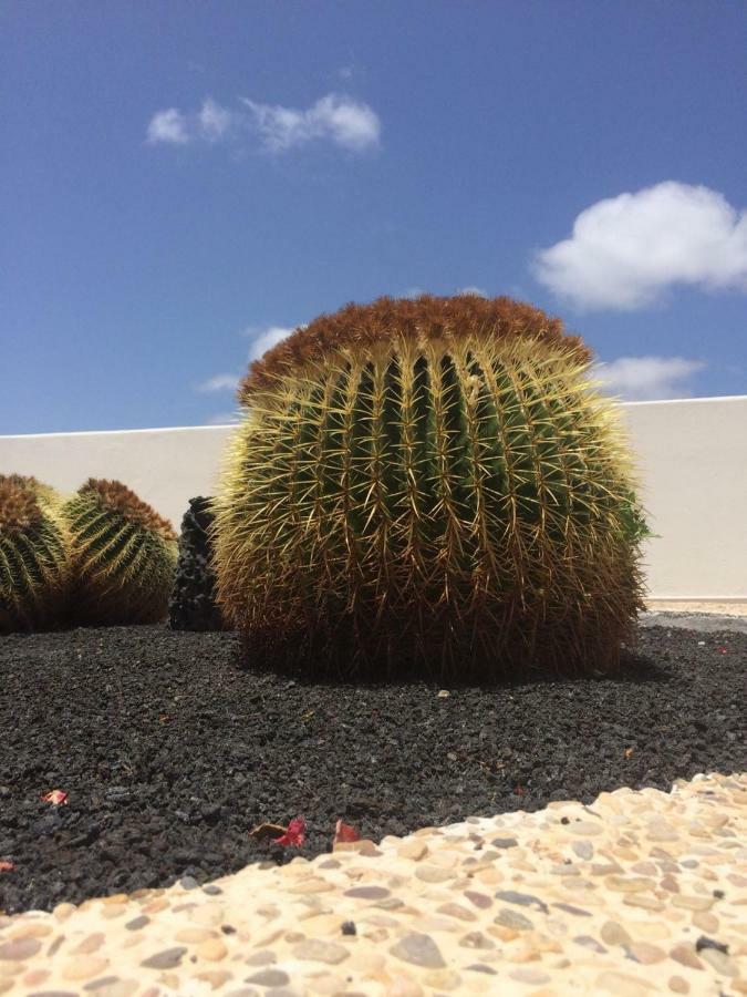 Los Panelos B1 بويرتو ذيل كارمين المظهر الخارجي الصورة